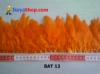 BAT 12 medium.jpg